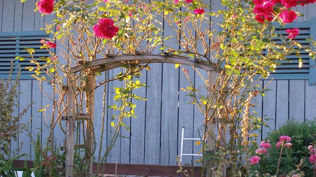 Gartentor mit Rosen Gartentor mit Rosen